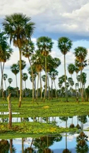 Fundación de Formosa